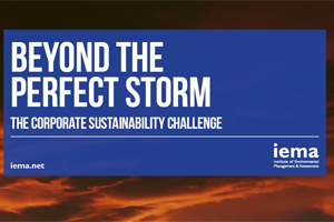 Beyond the Perfect Storm: The Corporate Sustainability Challenge - edie.net